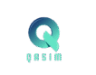 Qasim Web Developer